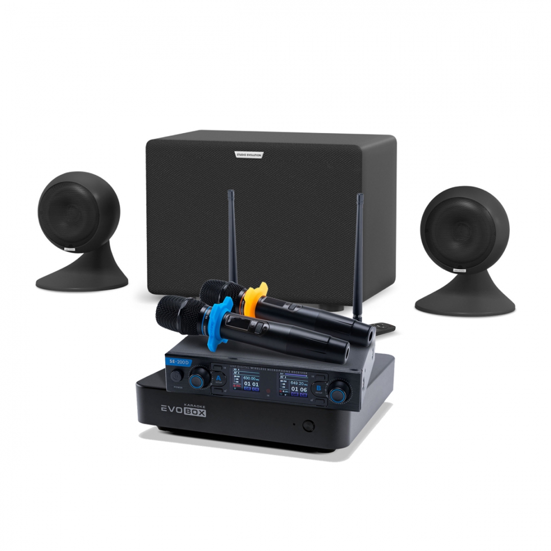 караоке-комплект EVOBOX + EvoSound Sphere 2.1 в Рощино
