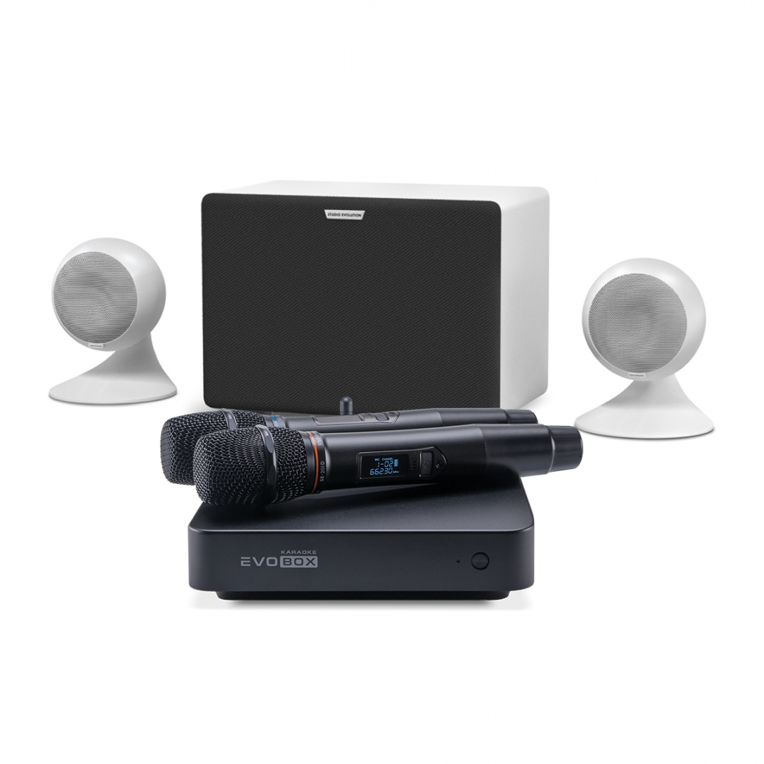 караоке-комплект EVOBOX Classic + EvoSound Sphere 2.1 в Рощино