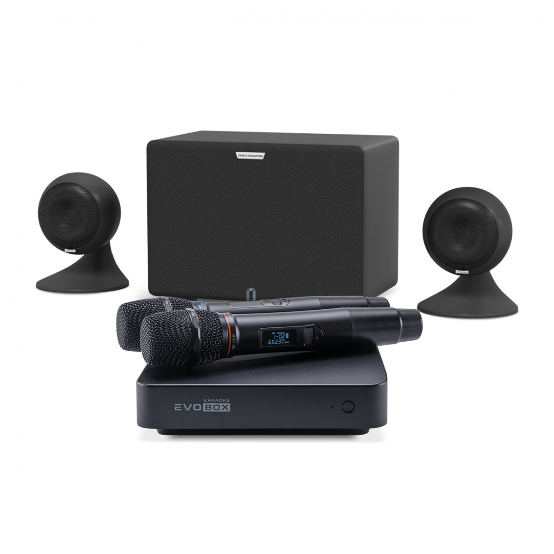 караоке-комплект EVOBOX Plus + EvoSound Sphere 2.1 в Рощино