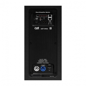 Активная акустическая система AST-310A в Рощино