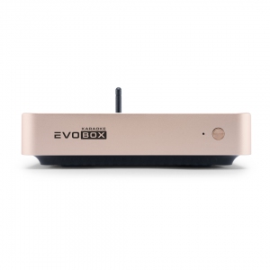 EVOBOX Plus караоке-система для дома в Рощино