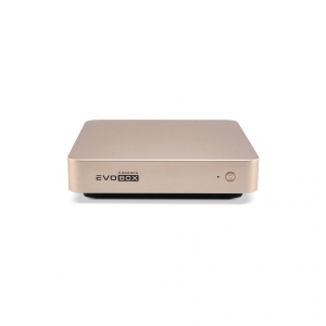 EVOBOX с микрофонами в Рощино